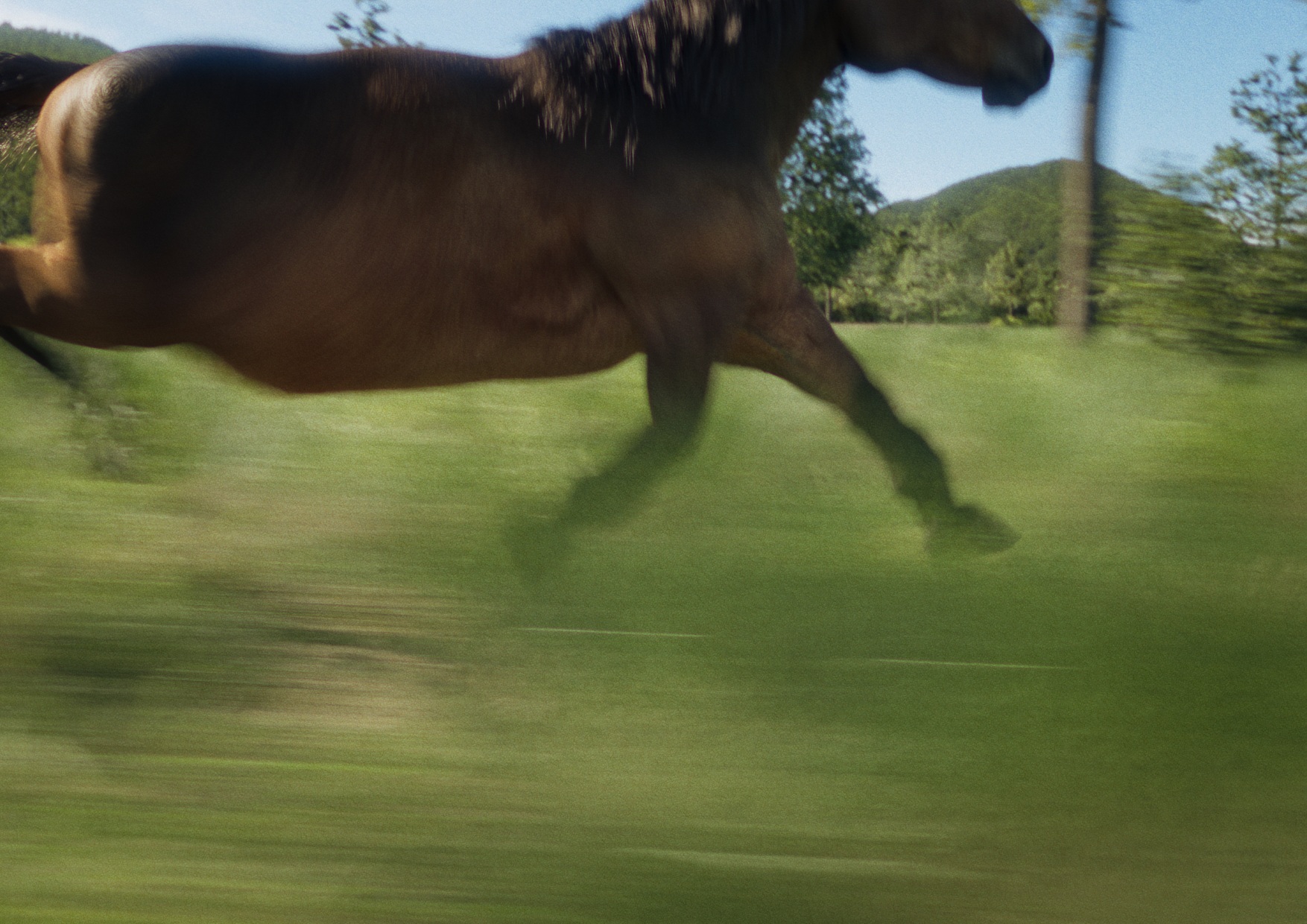 逃げ上手の若君 Image 4