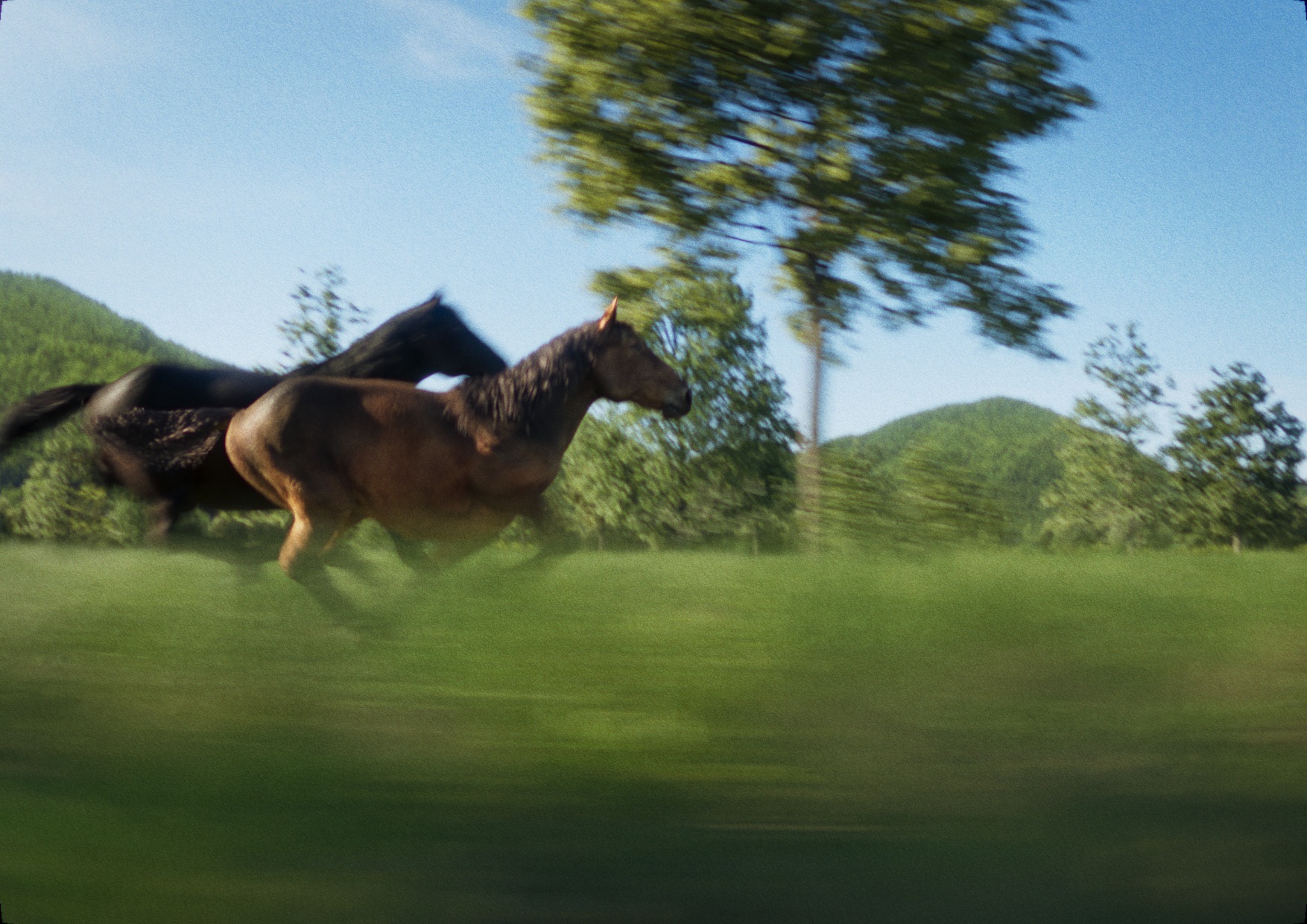 逃げ上手の若君 Image 5